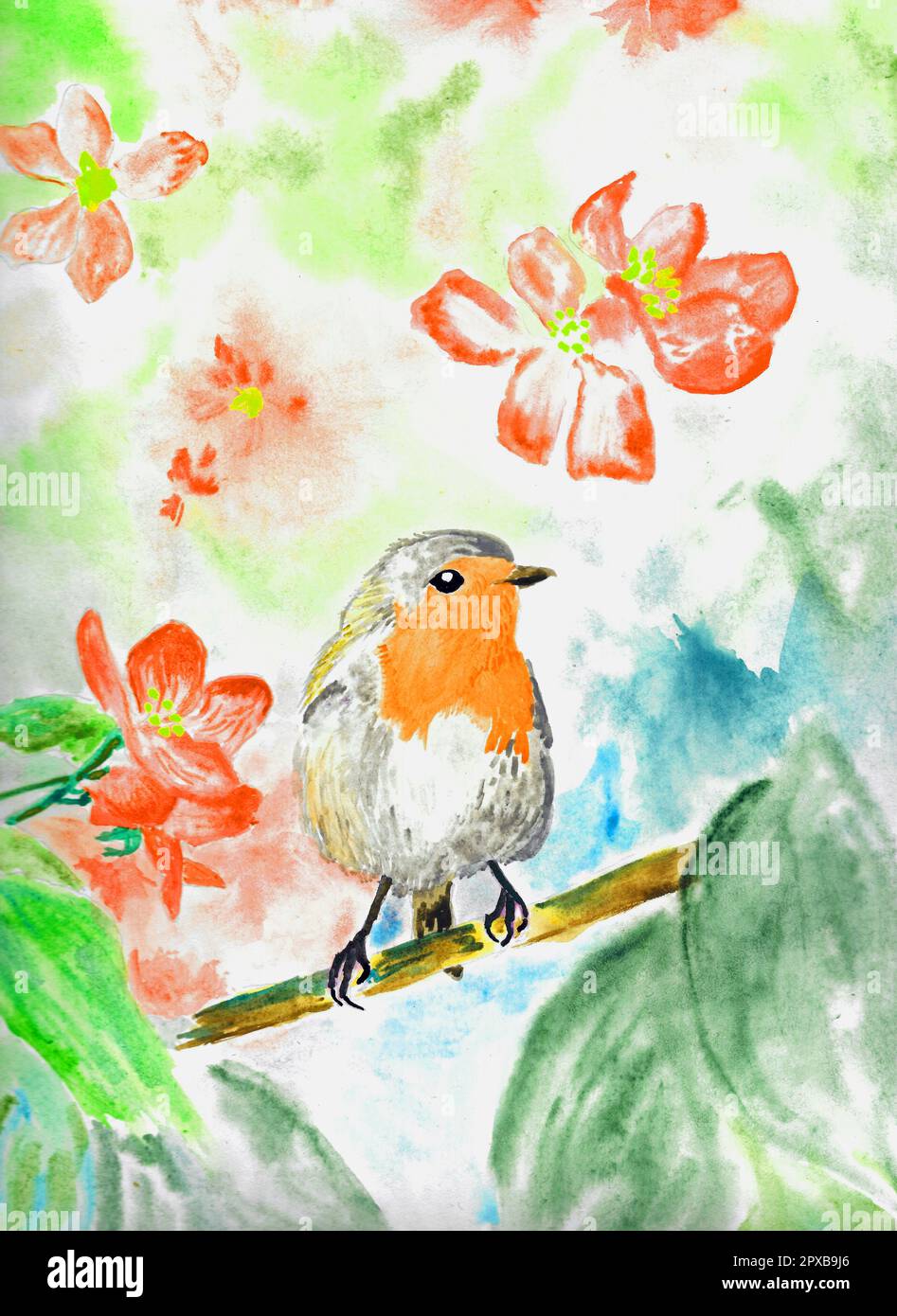 Robin, Vogel. Stockfoto Robin, Vogel. Stockfoto