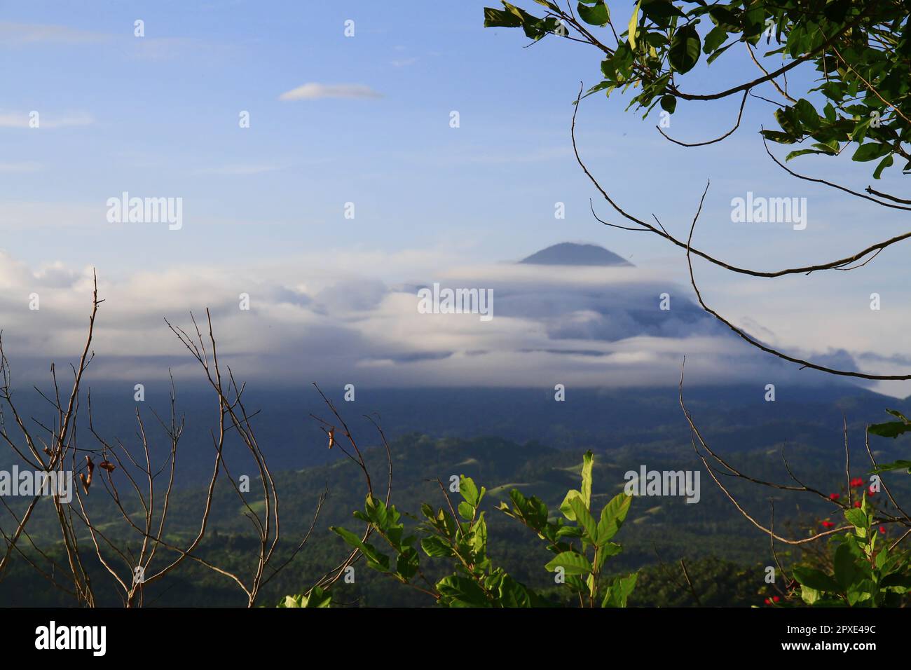 Blick auf den Gipfel des Berges mit Zweigen und Baumblättern im Vordergrund Stockfoto