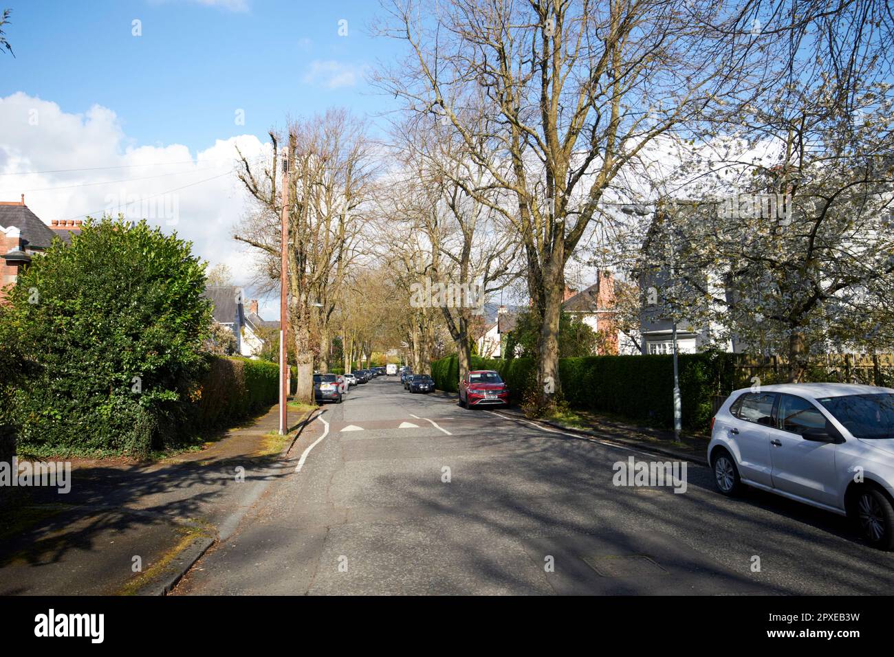 Von Bäumen gesäumter Myrtlefield Park in der Gegend von malone im Süden von belfast nordirland großbritannien eines der teuersten Gebiete im Norden irlands Stockfoto