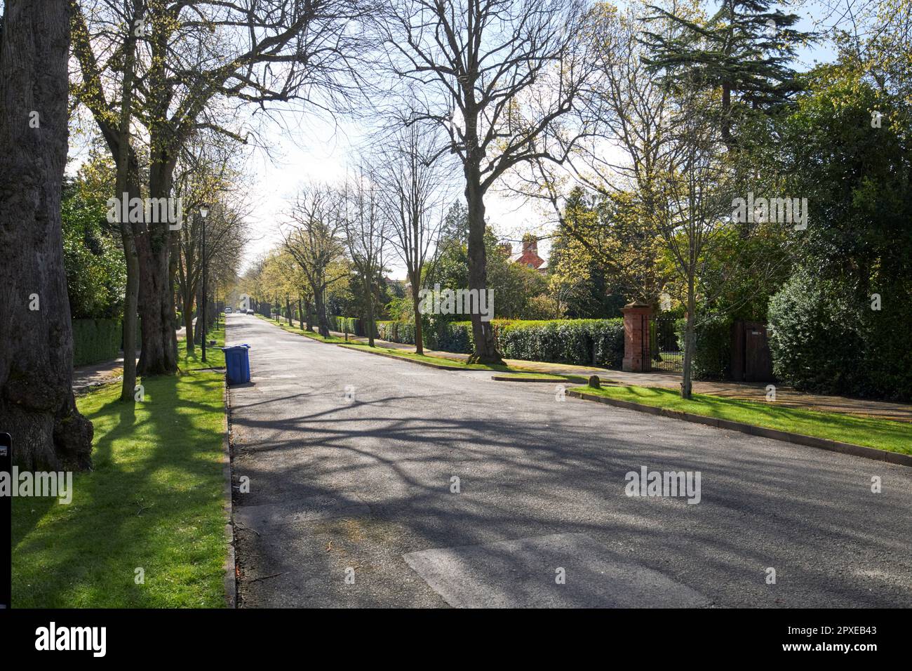 malone Park wohlhabende private Straße Wohngebiet malone Süd belfast nordirland großbritannien Stockfoto