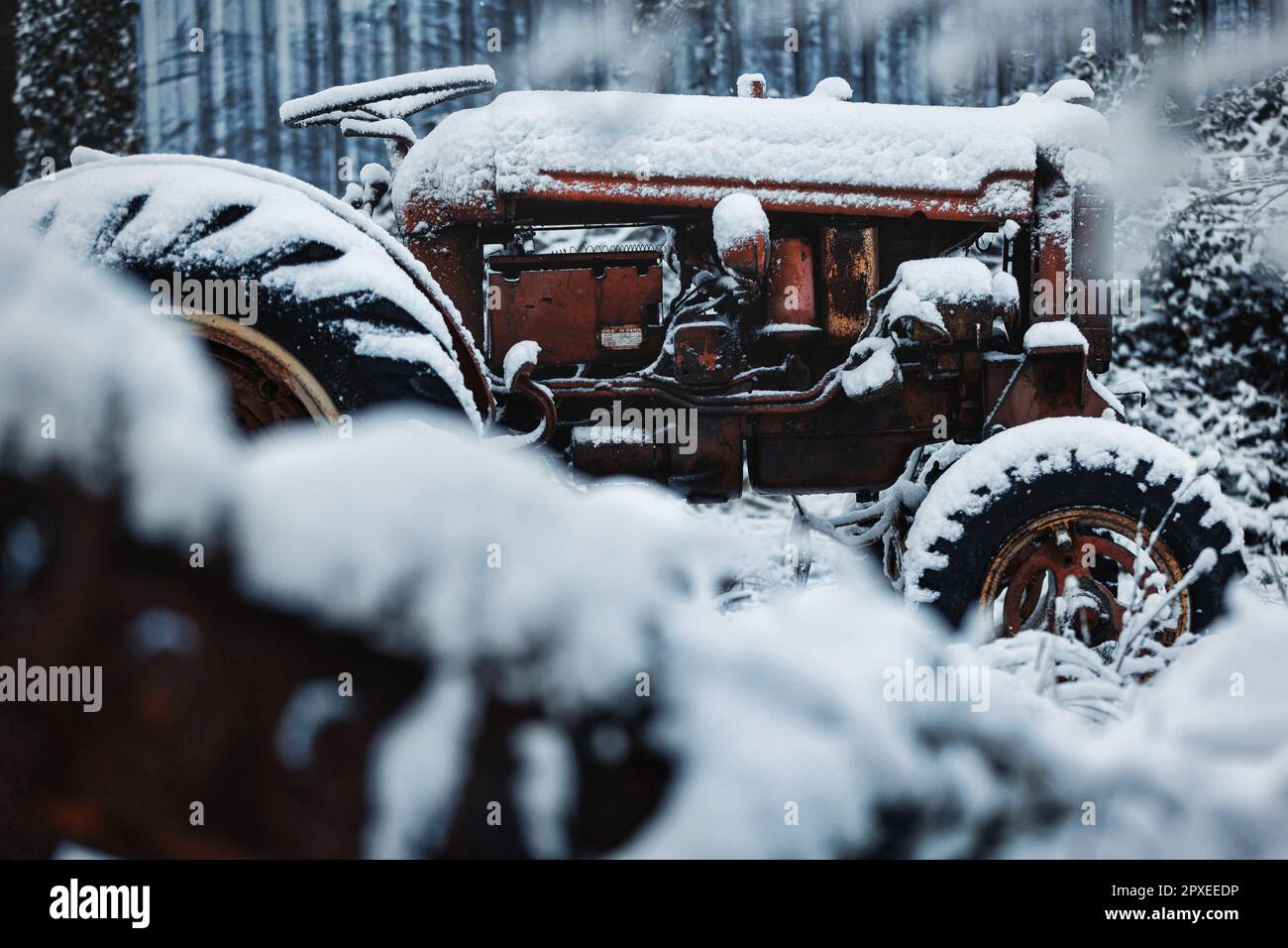 Ein roter Traktor inmitten einer schneebedeckten Waldlandschaft Stockfoto