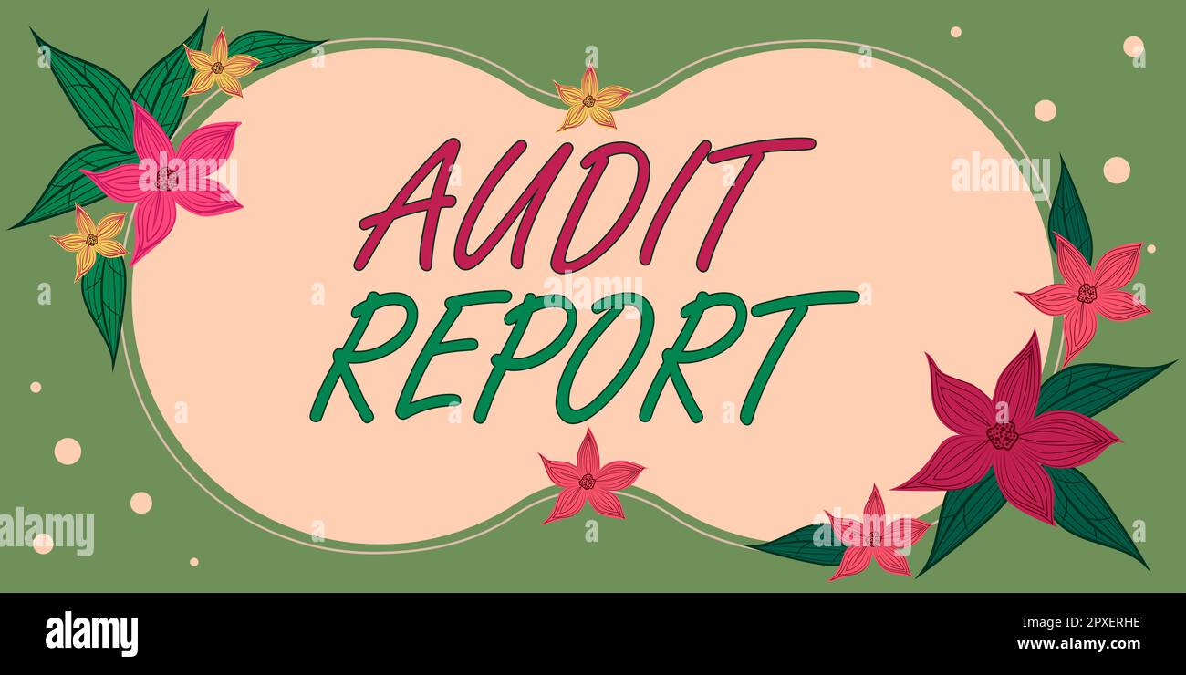 Text, der den Inspiration Audit Report zeigt, ein Wort, das auf einer Beurteilung des vollständigen Finanzstatus eines Unternehmensvermögens geschrieben ist Stockfoto