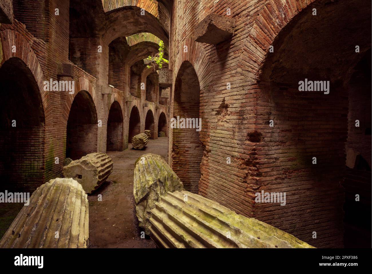 Flavianisches Amphitheater in Pozzuoli, Neapel, Italien Stockfoto
