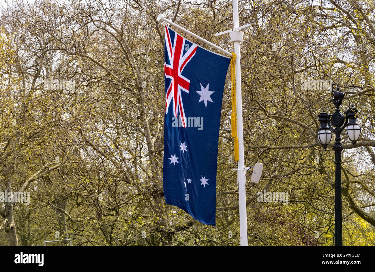 30. April 2023 Australian National Flag entlang der Mall, London UK, eine der Commonwealth Flaggen Vorbereitung auf die Krönung von König Karl III Stockfoto