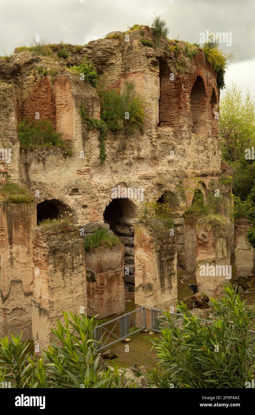 Flavianisches Amphitheater in Pozzuoli, Neapel, Italien Stockfoto
