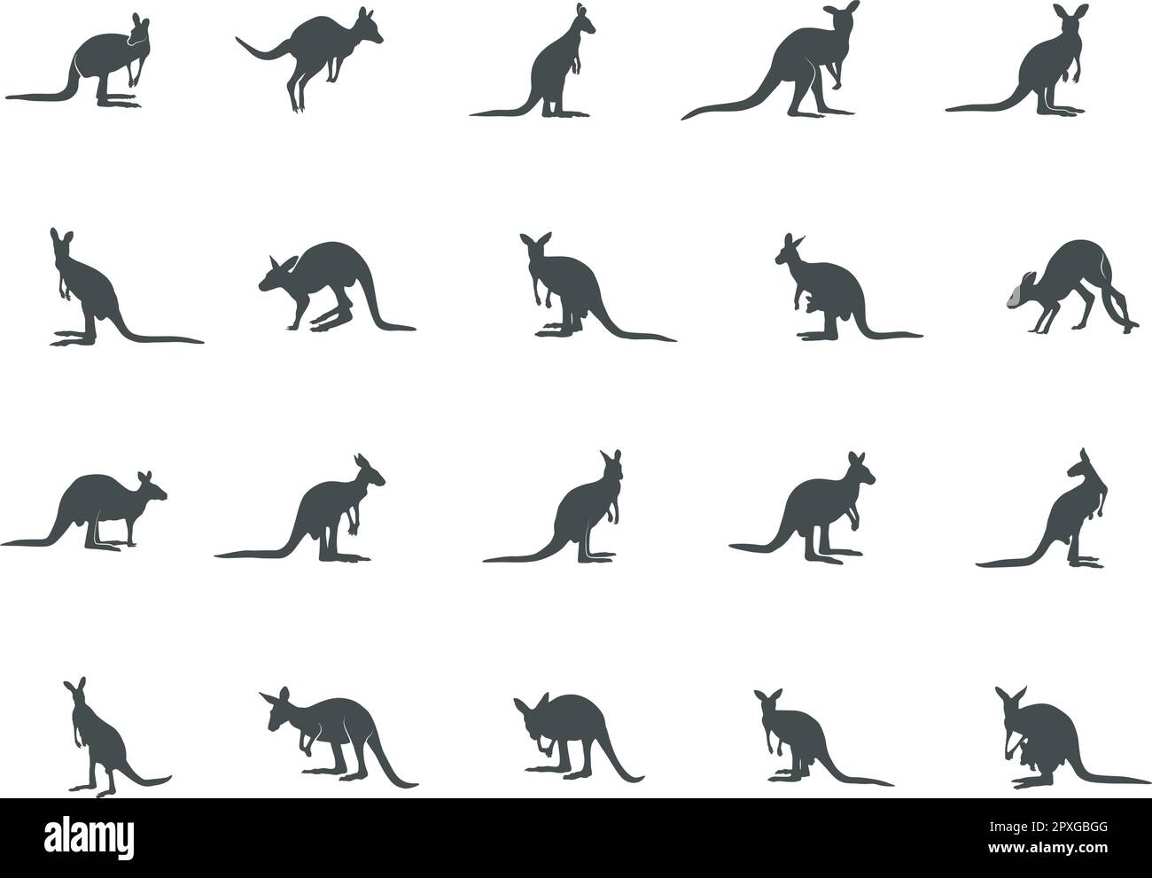 Darstellung von Känguru-Silhouetten, Känguru-Vektor, Känguru-Silhouetten-Vektor Stock Vektor