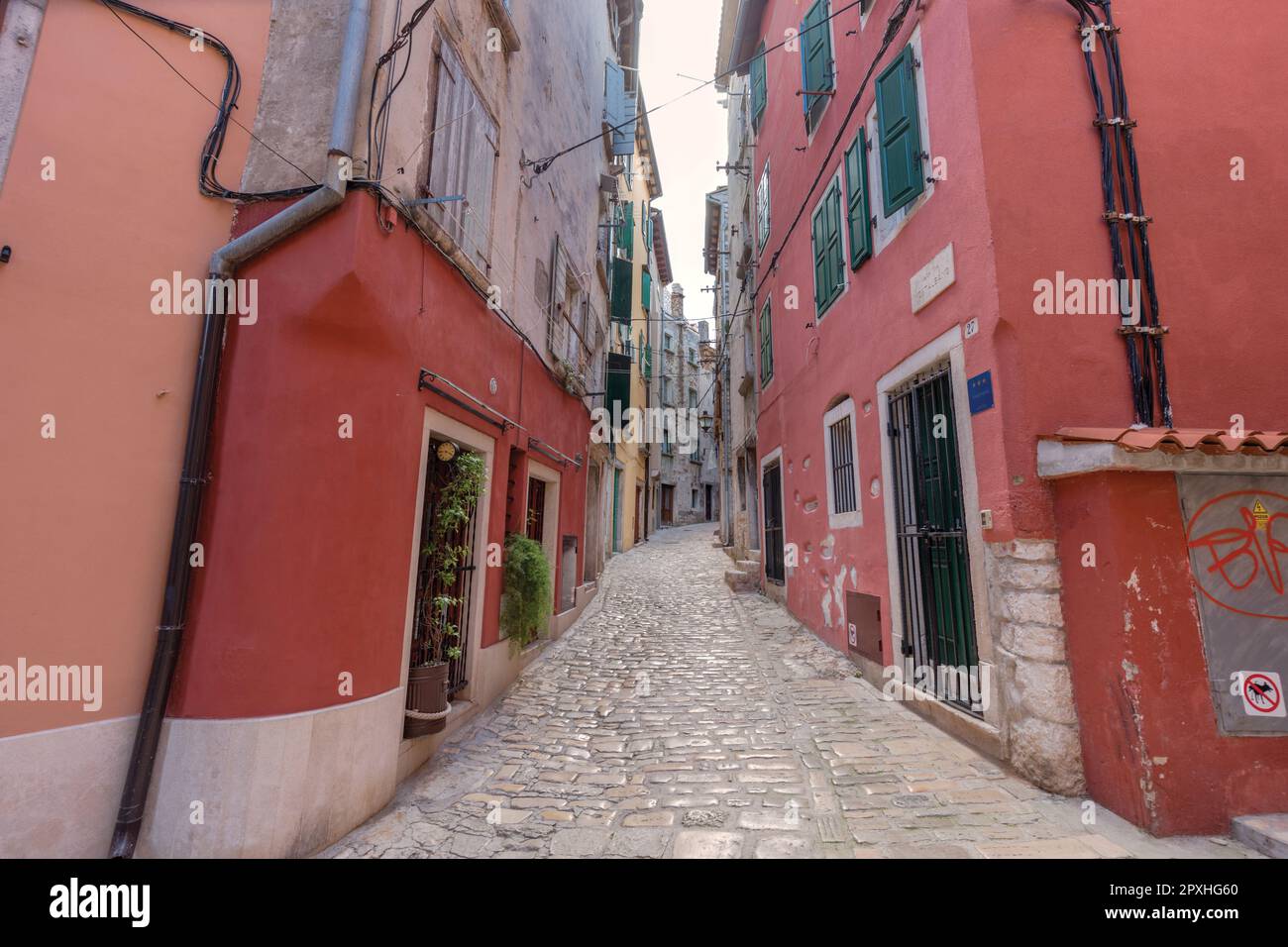 Bandiera Istria 150x225 cm da pennone