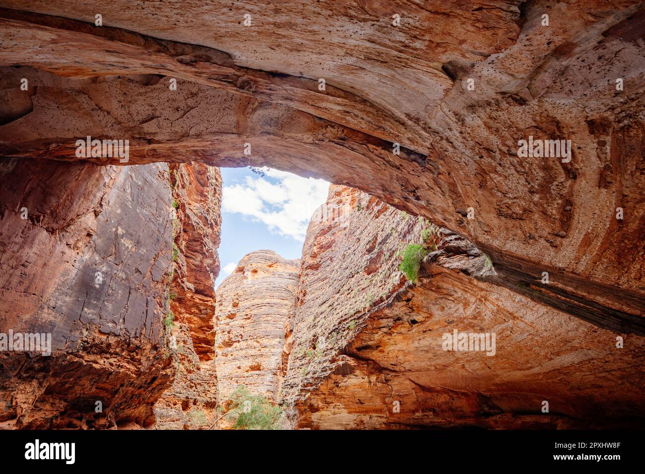 Cathedral Gorge Cave im Purnululu National Park in Westaustralien. Stockfoto