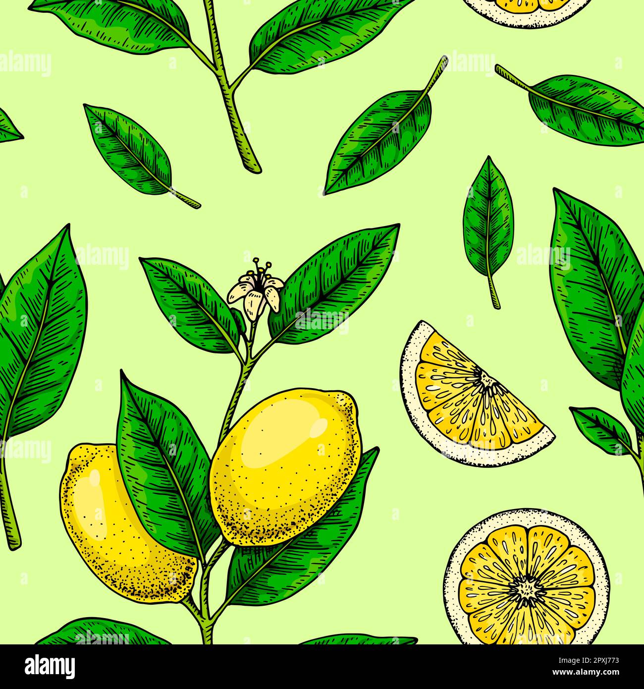 Nahtloses Zitronenmuster. Farbenfrohe handgezeichnete Vektordarstellung im Skizzenstil. Tropische exotische Zitrusfrüchte im Sommer Stock Vektor