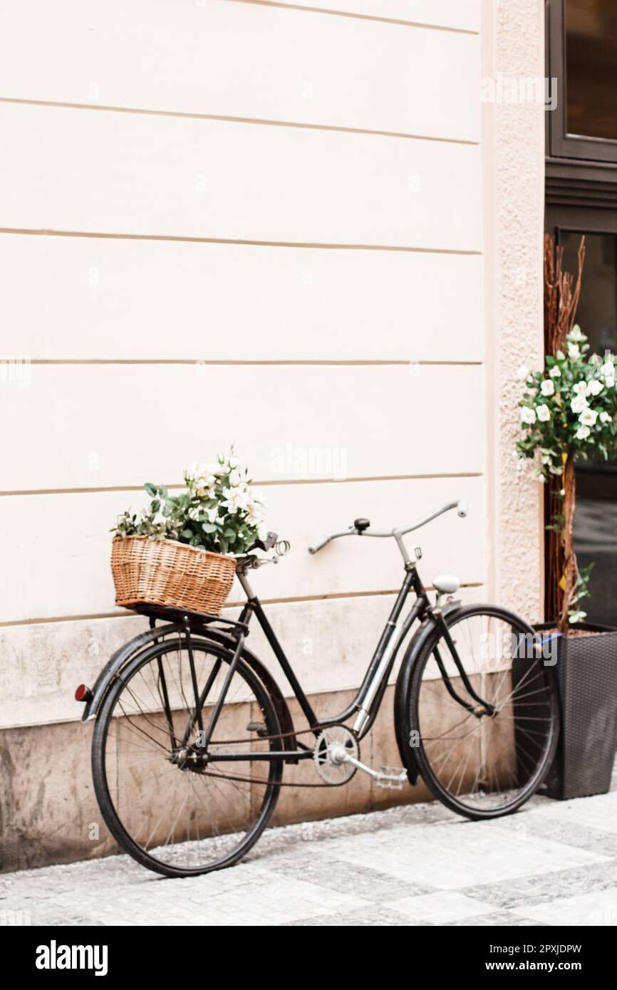 Ein altes Retro-Fahrrad mit einem Korb voller Blumen steht an der Wand Stockfoto