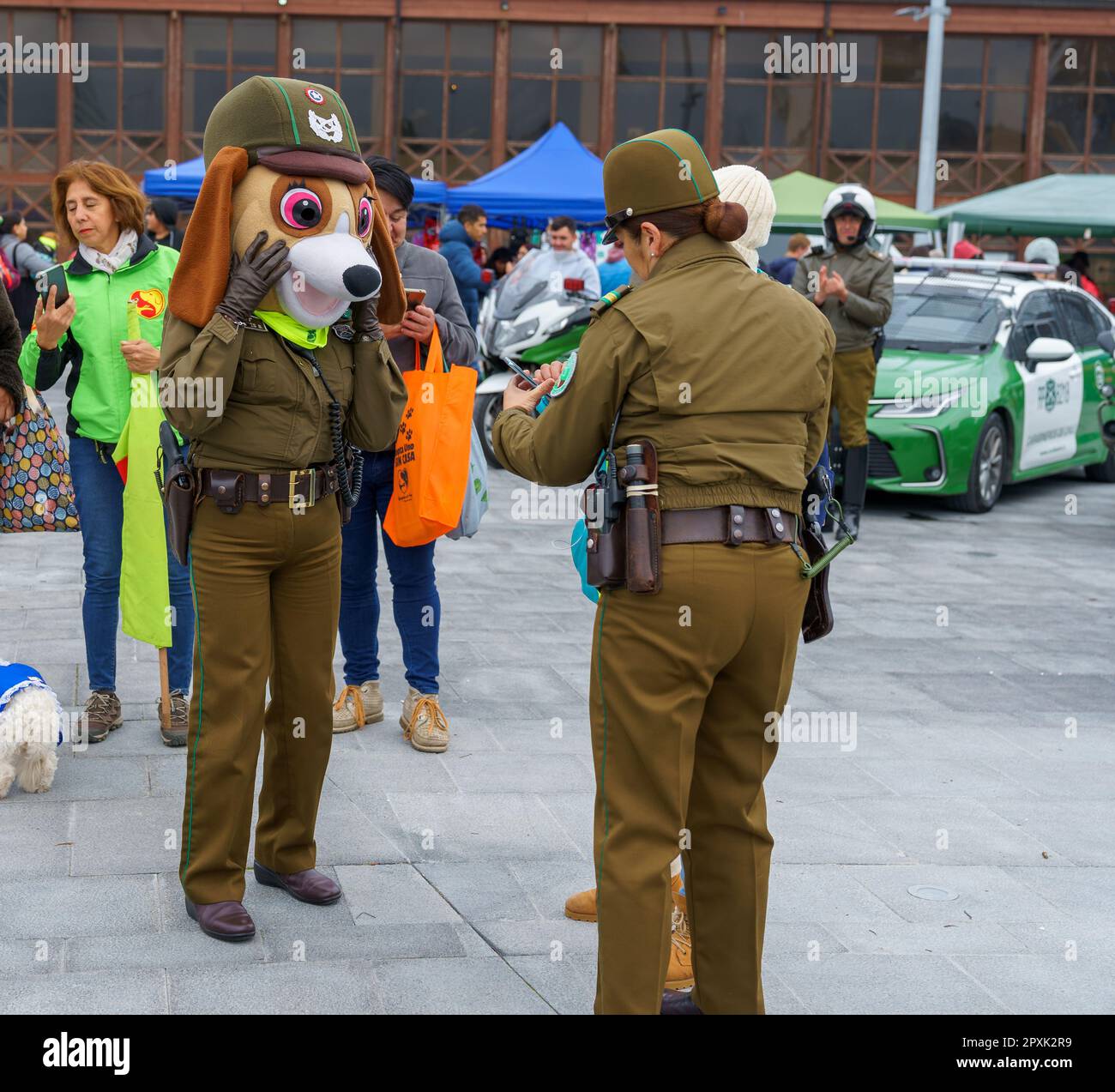 Ein fröhliches Maskottchen eines Hundes mit Carabineros de Chile auf der Straße, mit Menschen im Hintergrund Stockfoto