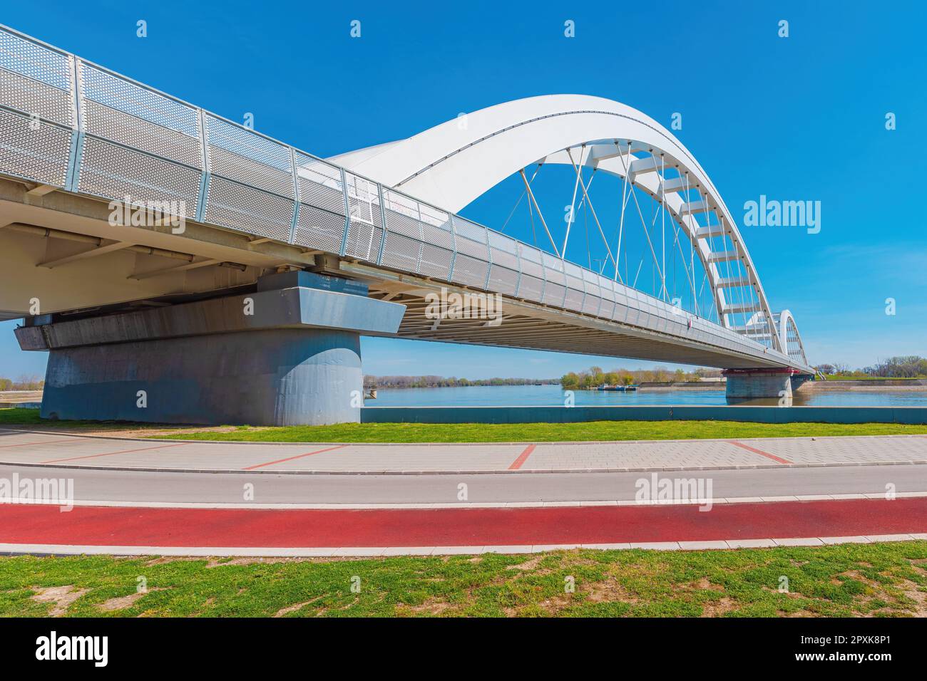 Zezelj-Brücke, eine Brückenbrücke an der Donau in Novi Sad, Vojvodina, Serbien. Diese Struktur wurde 2018 eröffnet. Stockfoto