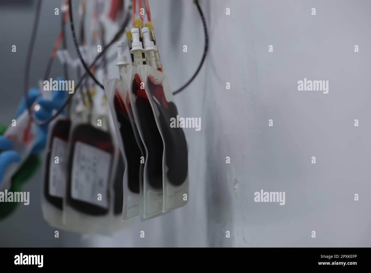Reihen von Blutbeuteln von Blutspendern im indonesischen Roten Kreuz-Büro Stockfoto