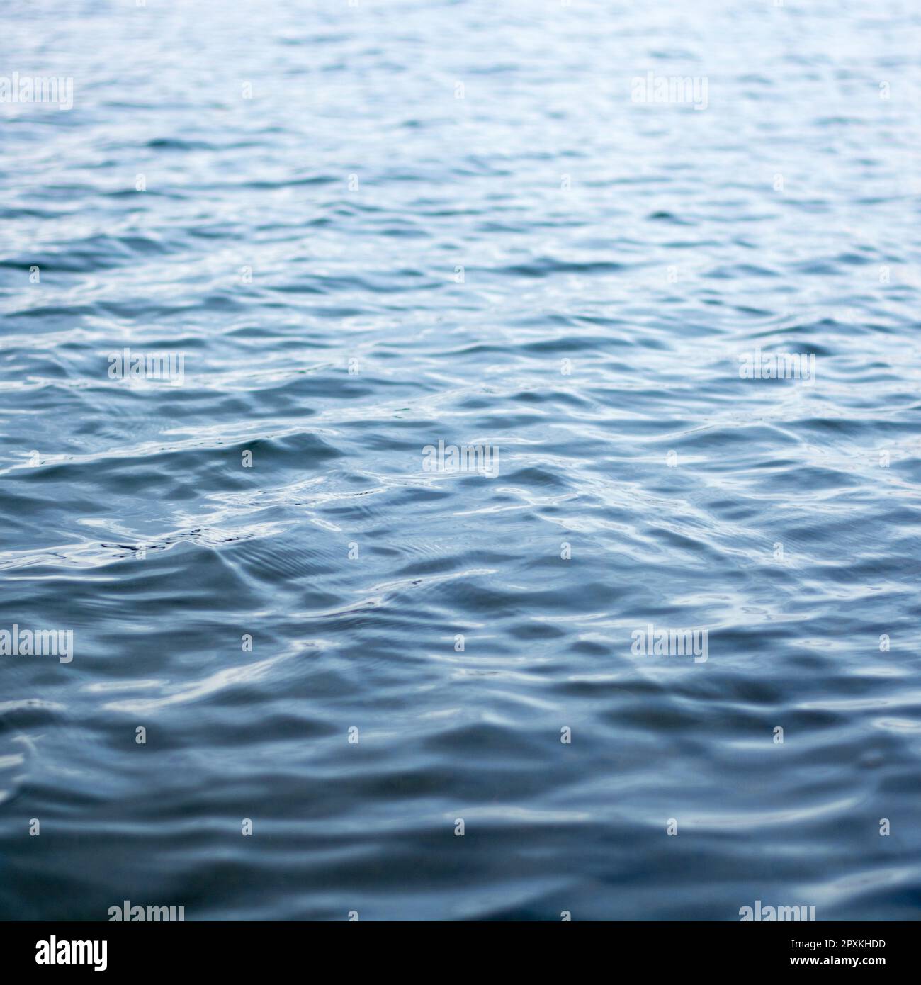 Meerwasseroberfläche in Nahaufnahme. Ausgewählter Fokus und unscharfer Hintergrund. Stockfoto