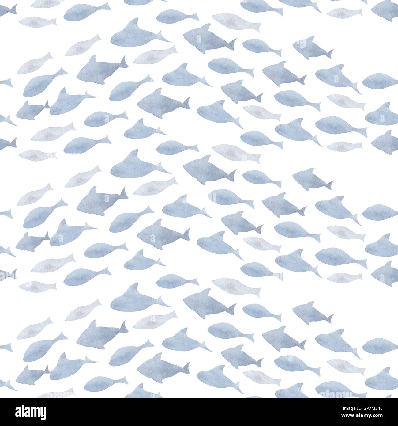 Seamless Pattern mit Fish Navy Shoal auf isoliertem weißem Hintergrund. Handgezogener, wasserfarbener Unterwasserhintergrund zum Einwickeln von Papier oder Marinetextilien. Verzierungen für jedes Design im nautischen Stil. Stockfoto
