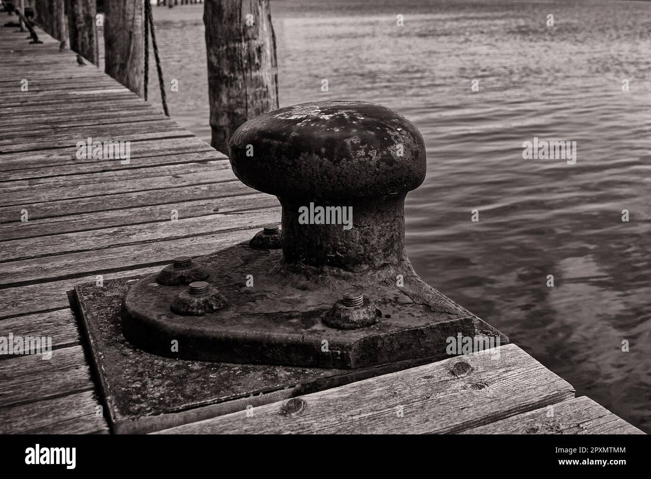 Zingster Strom am Hafen Zingst, Fischland-Darß, Mecklenburg-Vorpommern, Deutschland Stockfoto