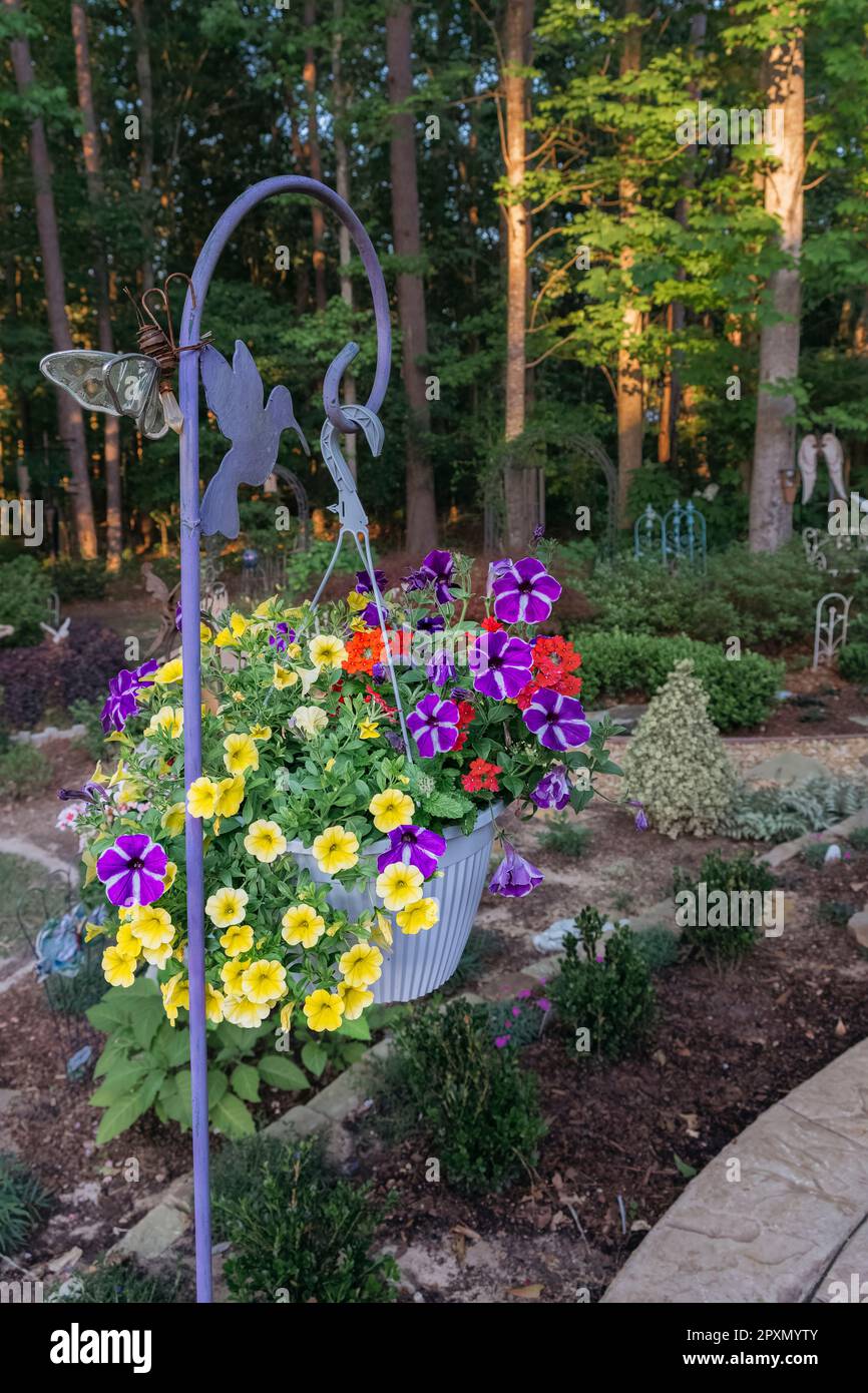 Aufhängen eines Blumenkorbs in einem Garten mit verschiedenen blühenden Pflanzen. Stockfoto