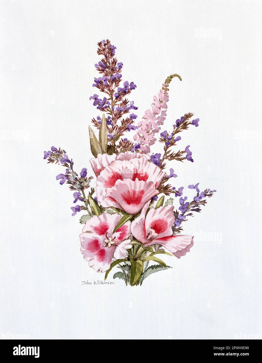 Kunstwerke. Aquarellgemälde von rosa Clarkia Amoena und blauen Blumen. Stockfoto