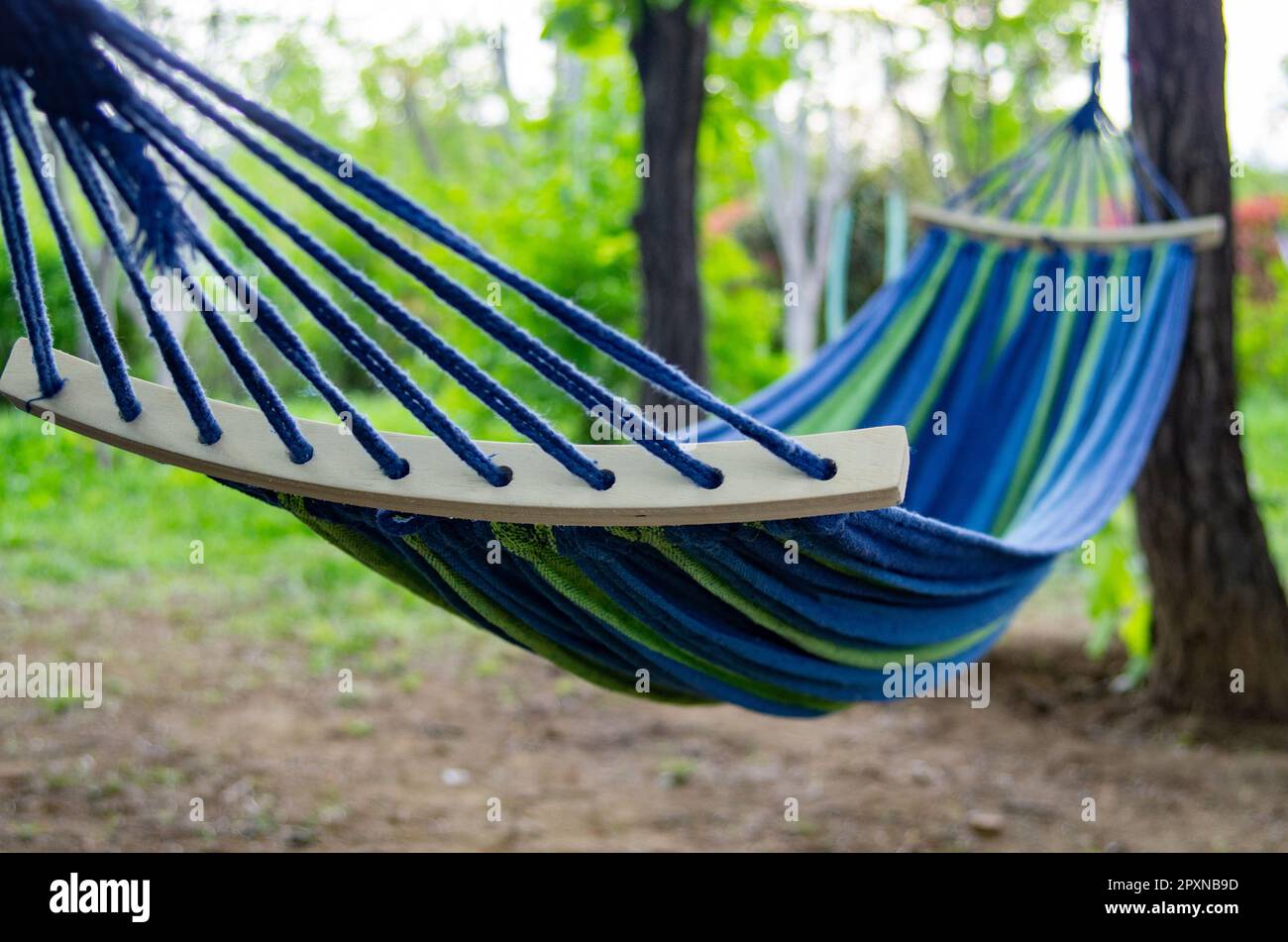 Eine Hängematte in einem Sommerwald, Resort-Urlaubskonzept Stockfoto