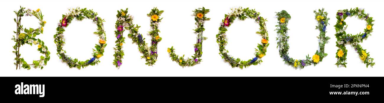 Blühende Blumenbriefe Basteln französisches Wort Bonjour bedeutet Hallo. Sommer- Und Frühlingsblüten Und Blumenlee. Stockfoto