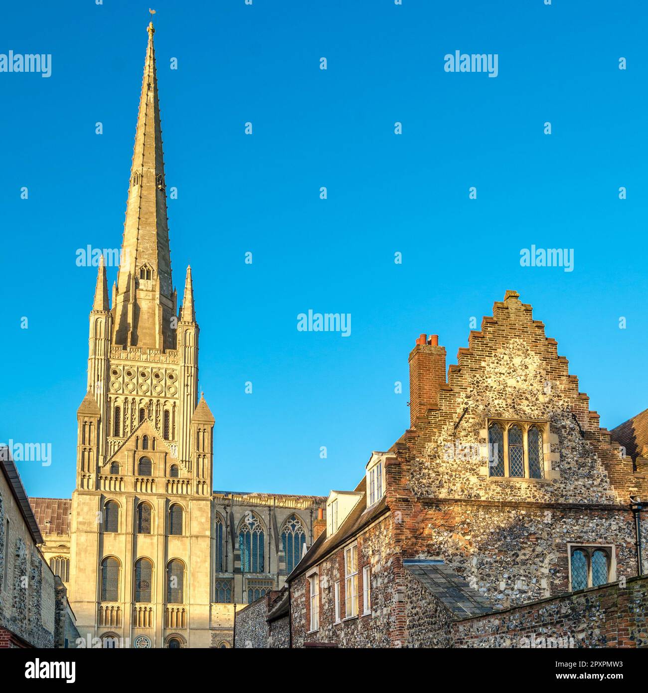 Die anglikanische Kathedrale in Norwich Norfolk, Großbritannien, gewidmet der Heiligen und ungeteilten Dreifaltigkeit. Der Bau begann 1096 und wurde 1145 abgeschlossen. Stockfoto
