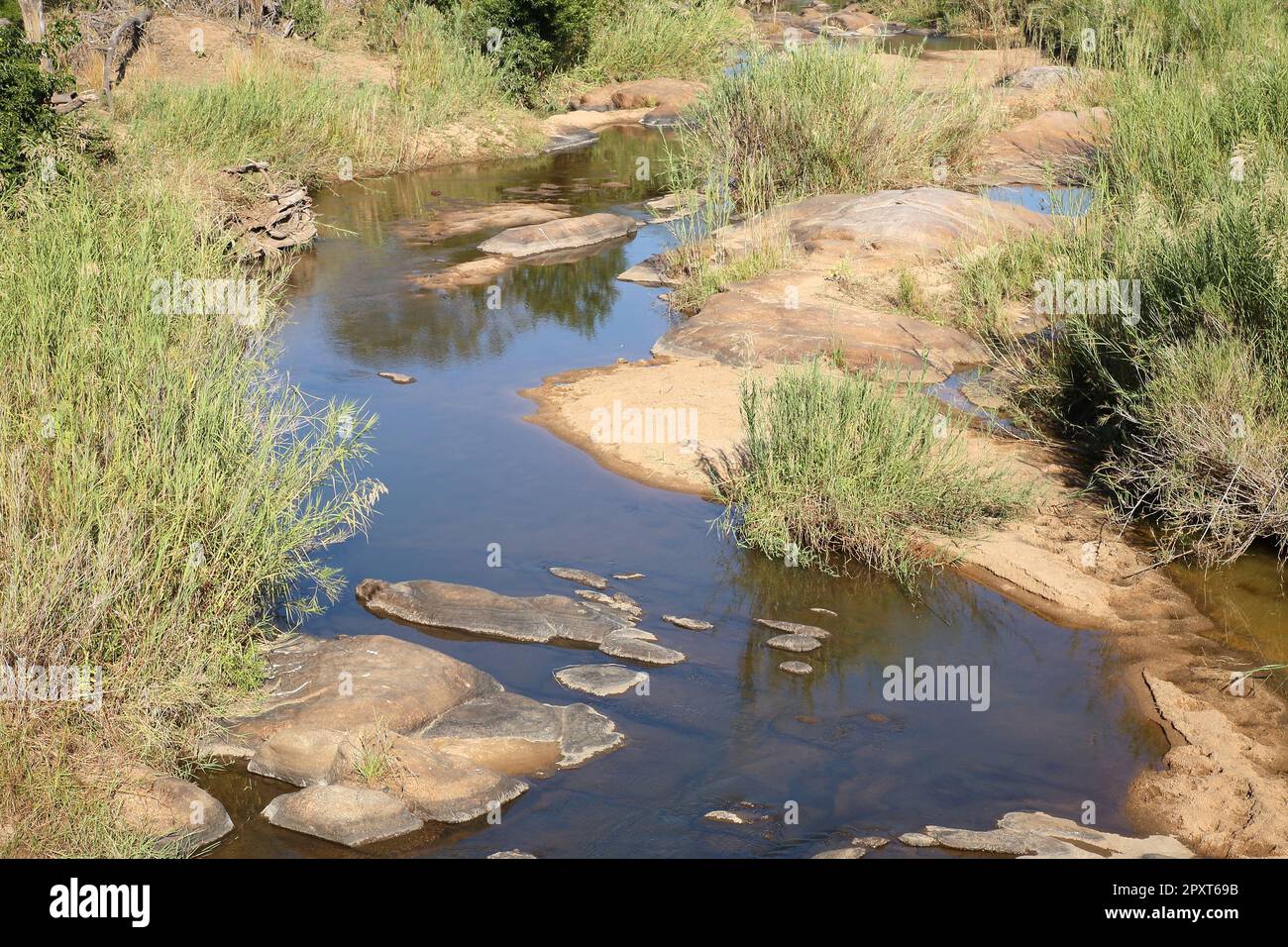 Afrikanischer Busch - Krügerpark - Sabie River / African Bush - Kruger Park - Sabie River / Stockfoto