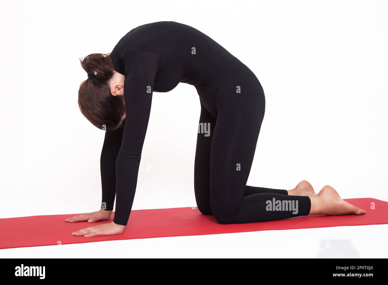 Hübsches, sportliches Mädchen im schwarzen Anzug, das Yoga macht. Mardjariasna asana - Katzenhaltung. Isoliert auf weißem Hintergrund. Stockfoto