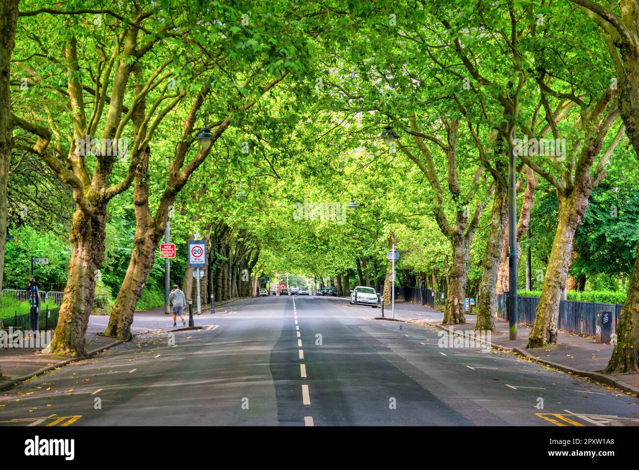 Von Bäumen gesäumte Straße im Kelvinbridge-Viertel in Glasgow, Schottland. Stockfoto