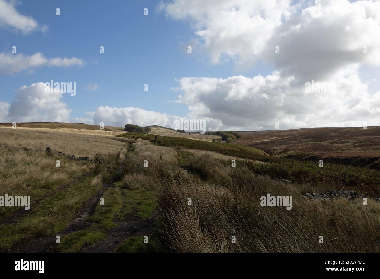 Der Fußweg zwischen White Coppice und Great Hill folgt dem Dean Black Brook The West Pennines Lancashire England Stockfoto