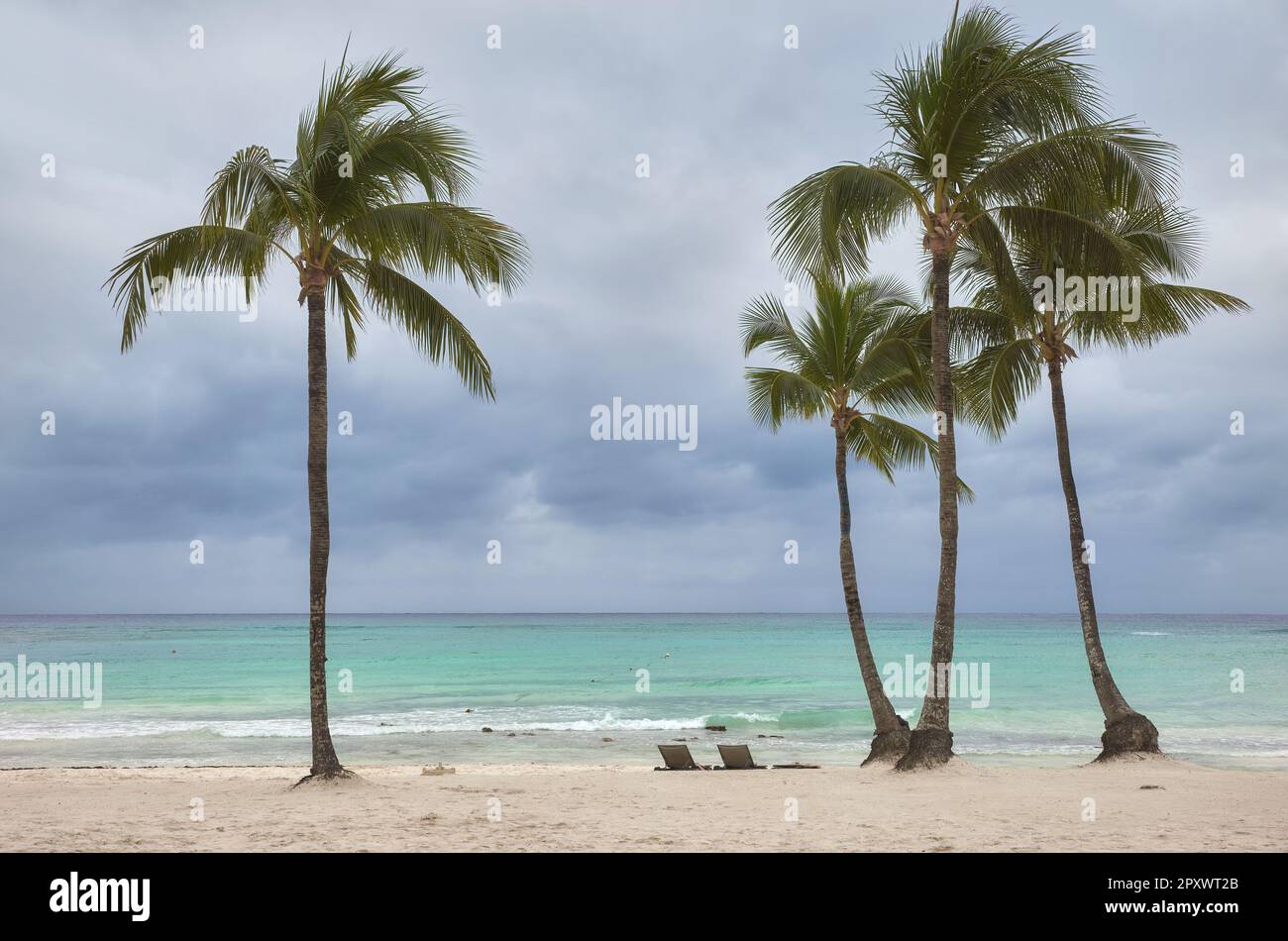 Tropischer Strand mit Kokospalmen an einem regnerischen Tag. Stockfoto