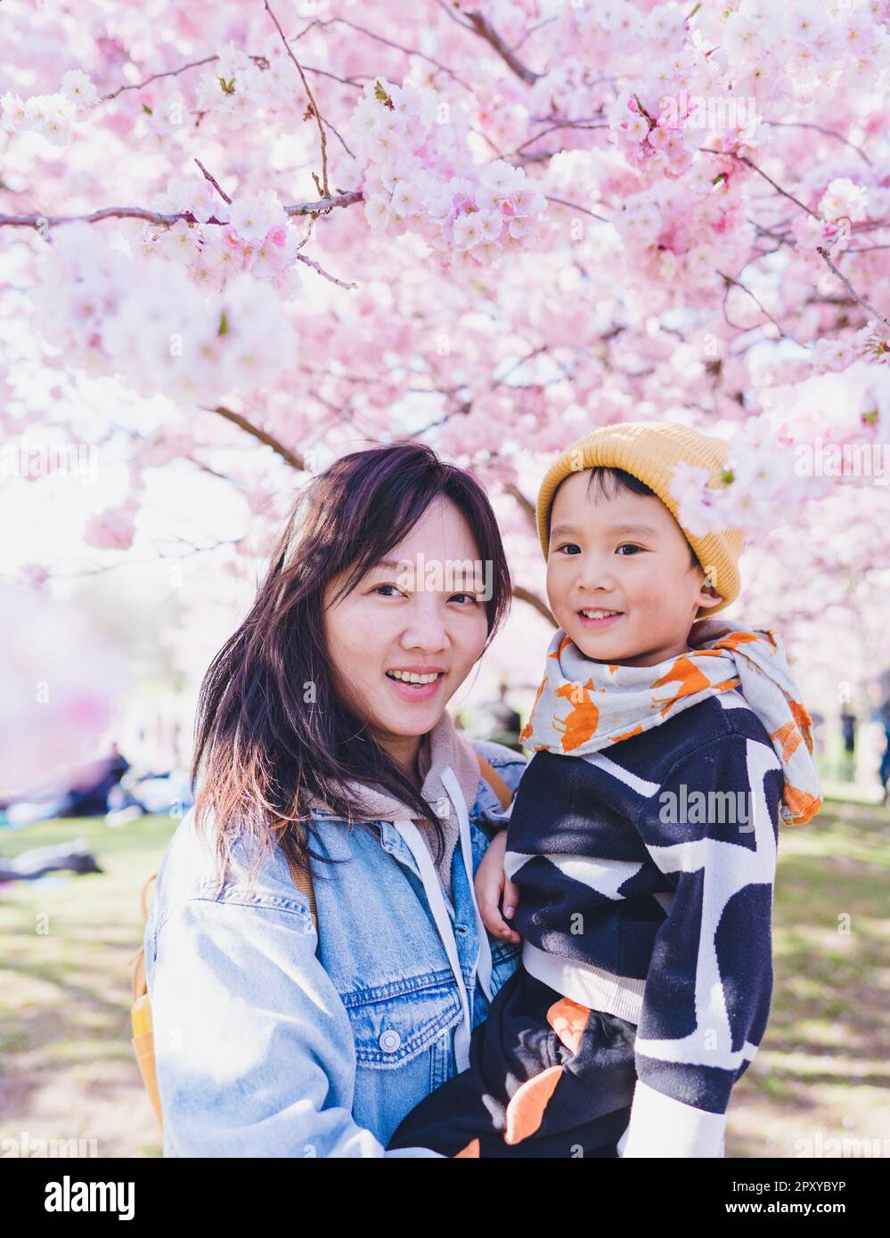 Ein Mond mit ihrem Kind, das in der Kirschblütensaison unter Sakurabäumen steht. Stockfoto