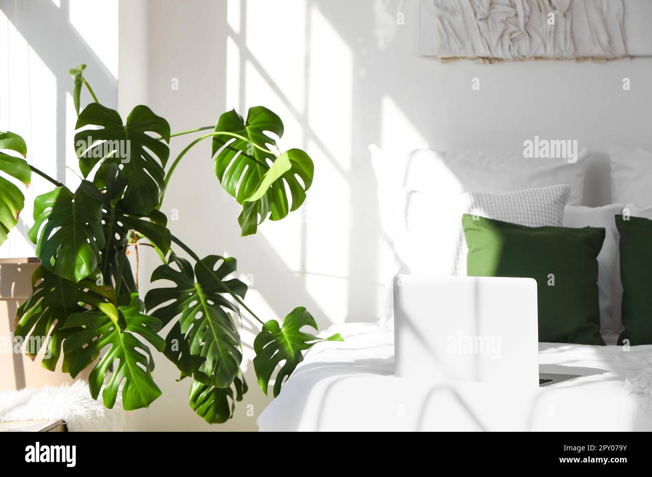 Helles Schlafzimmer mit Monstera-Zimmerpflanze und Bett Stockfotografie -  Alamy