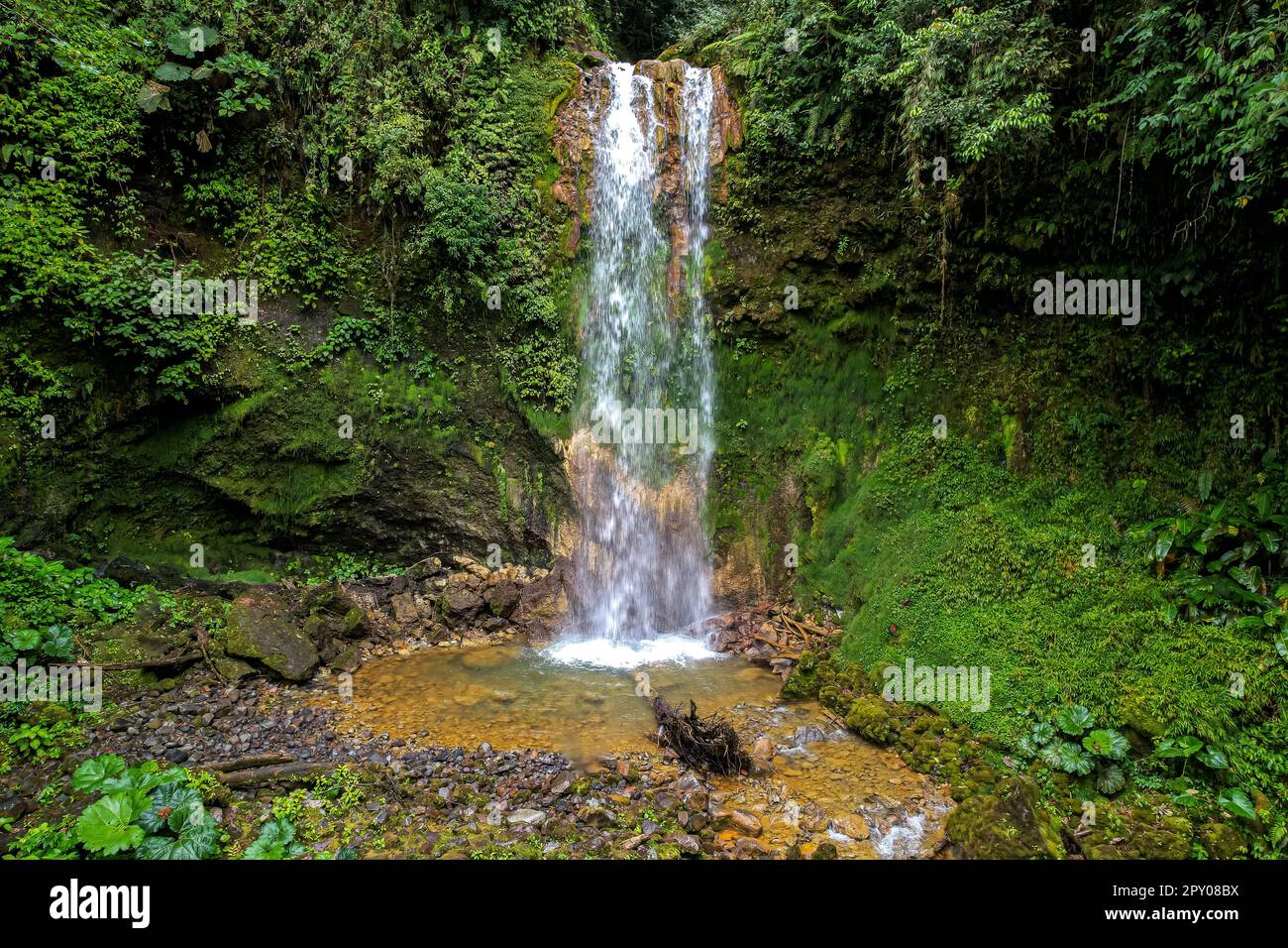 Wunderschöner Blick aus der Vogelperspektive auf den Costa Rica Wasserfall in Bajos de Toro, mit türkisfarbenem Wasser inmitten des Regenwaldes Stockfoto