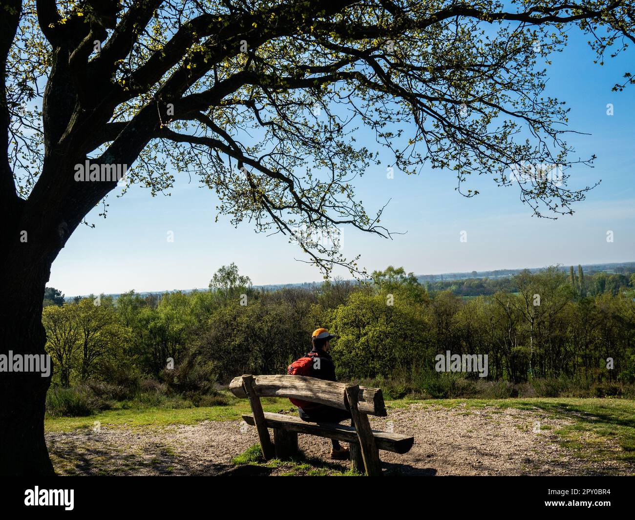 Mook-Molenhoek, Limburg, Niederlande. 30. April 2023. Man sieht einen Mann, der sich auf einer Bank neben einem großen Baum ruht. Nach niedrigen Temperaturen und ständigem Regen kam dieses Wochenende der Frühling und brachte Sonnenschein und milde Temperaturen in den Niederlanden. Man sah Leute, die das Wetter genossen, Fahrrad gefahren, Spazierwege gemacht oder Zeit mit ihren Familien verbracht haben. In den Niederlanden gibt es viele Wanderwege, die leicht mit öffentlichen Verkehrsmitteln erreichbar sind. (Kreditbild: © Ana Fernandez/SOPA Images via ZUMA Press Wire) NUR REDAKTIONELLE VERWENDUNG! Nicht für den kommerziellen GEBRAUCH! Stockfoto