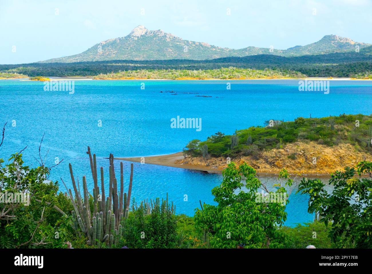 Kralendijk Netherland Antilles Bonaire beliebter Kreuzfahrtstopp in der Karibik Stockfoto