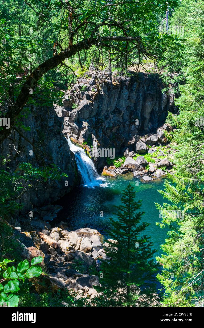 Wunderschöne McCloud Falls, die entlang des McCloud River im Shasta National Forest in Nordkalifornien zu sehen sind Stockfoto