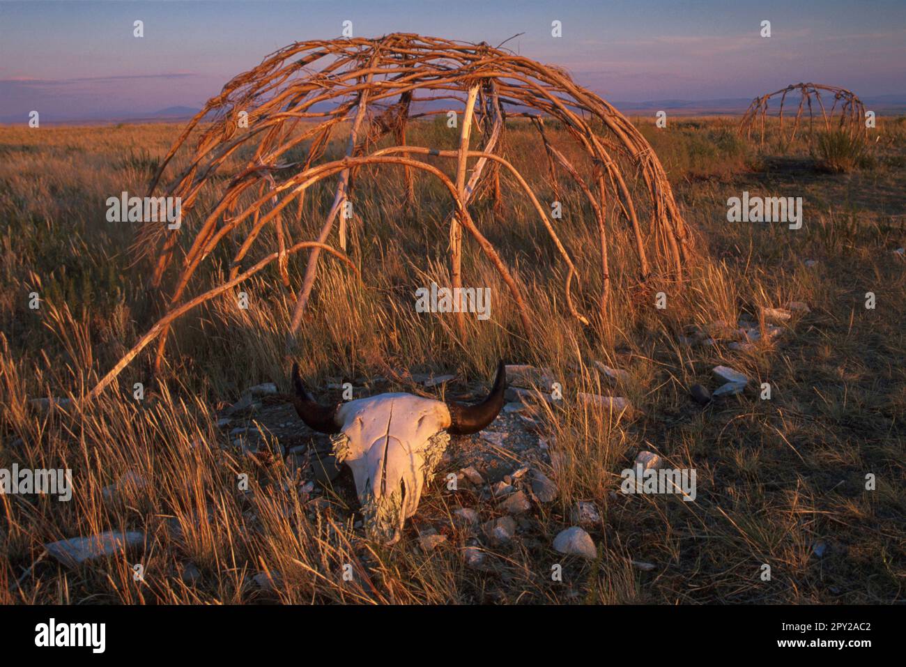 USA, Montana, Great Plain, Ulm Pishkun State Monument, Schwitzhütte mit Bisonschädel Stockfoto