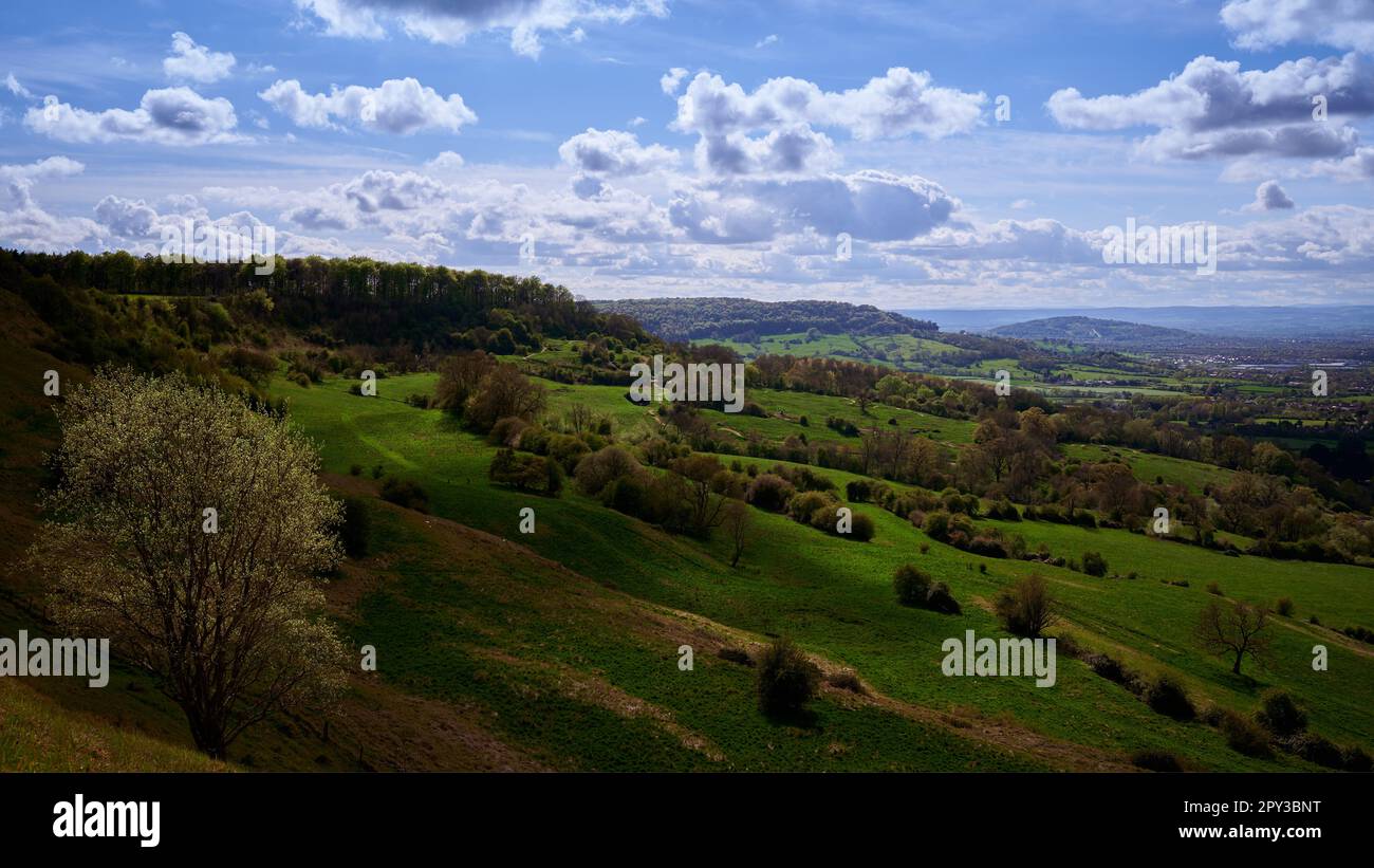 Sanfte Hügel über englischer Landschaft mit blauem Himmel und weißen Wolken im Panorama Stockfoto