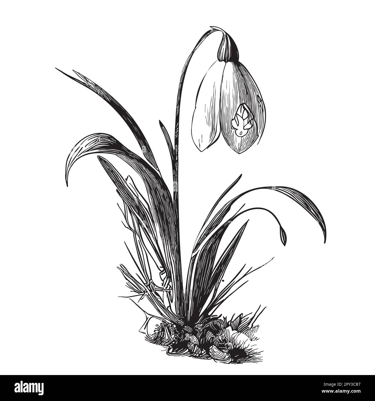 Von Hand gezeichnete Skizze aus Schneefall in einer Doodle-Darstellung Stock Vektor