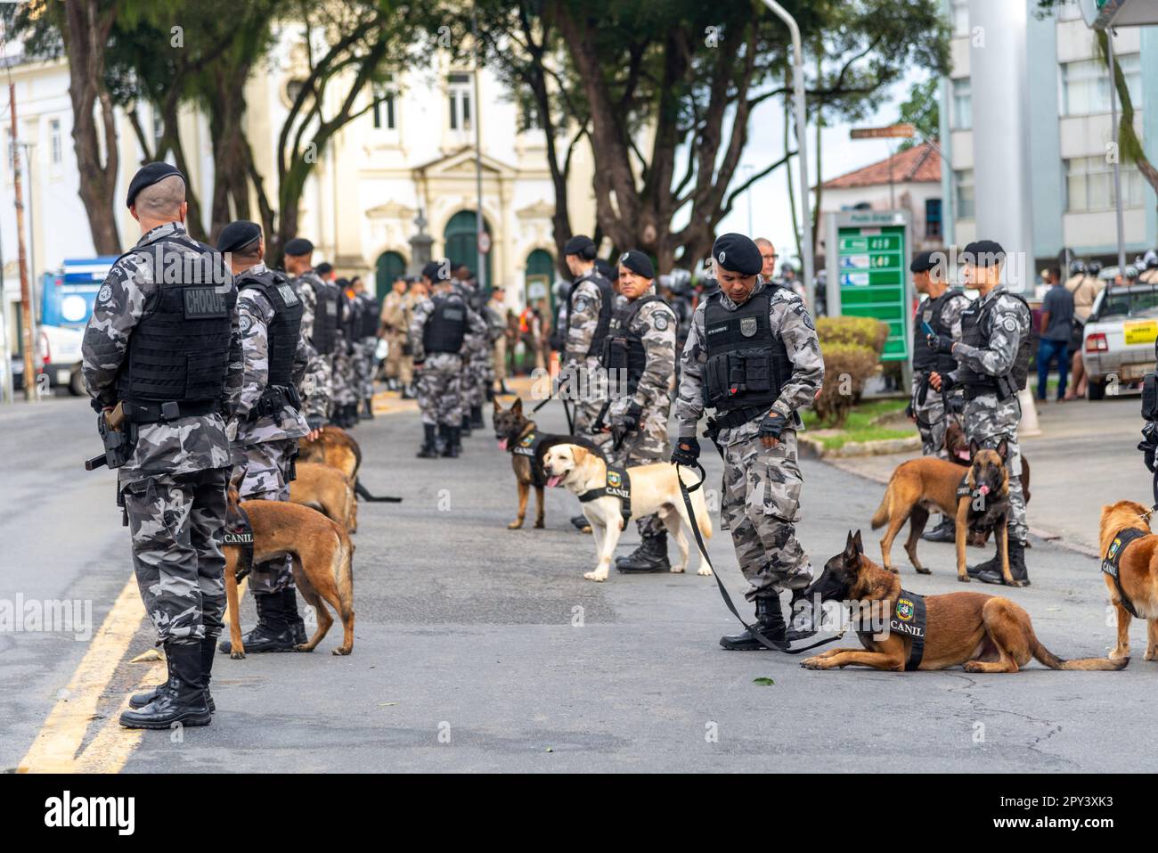 Salvador, Bahia, Brasilien - 07. September 2022: Soldaten und Hunde der Militärpolizei von Bahia werden angehalten und warten auf den Beginn des Parads Stockfoto