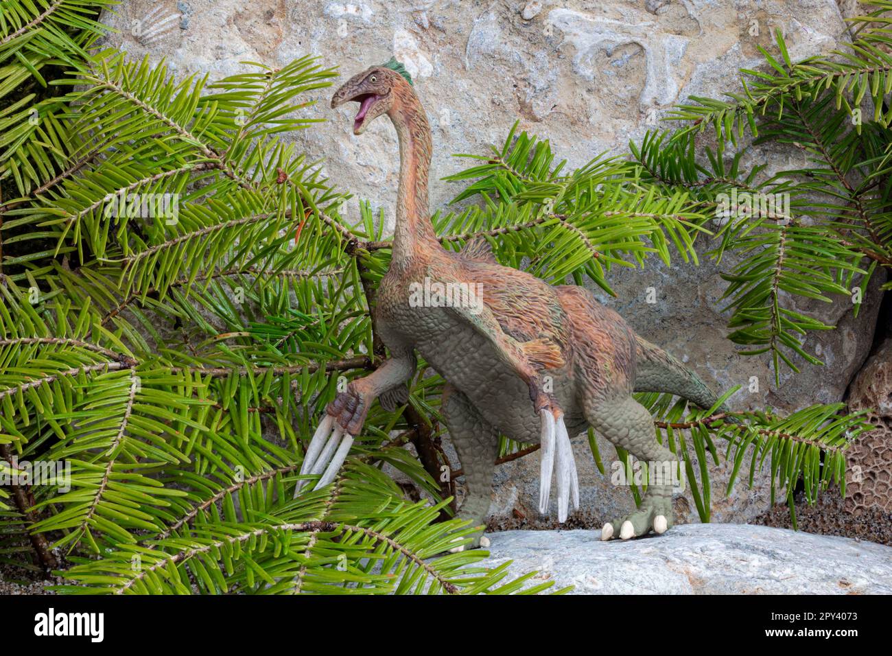 Therizinosaurus fossilien Fotos und Bildmaterial in hoher Auflösung