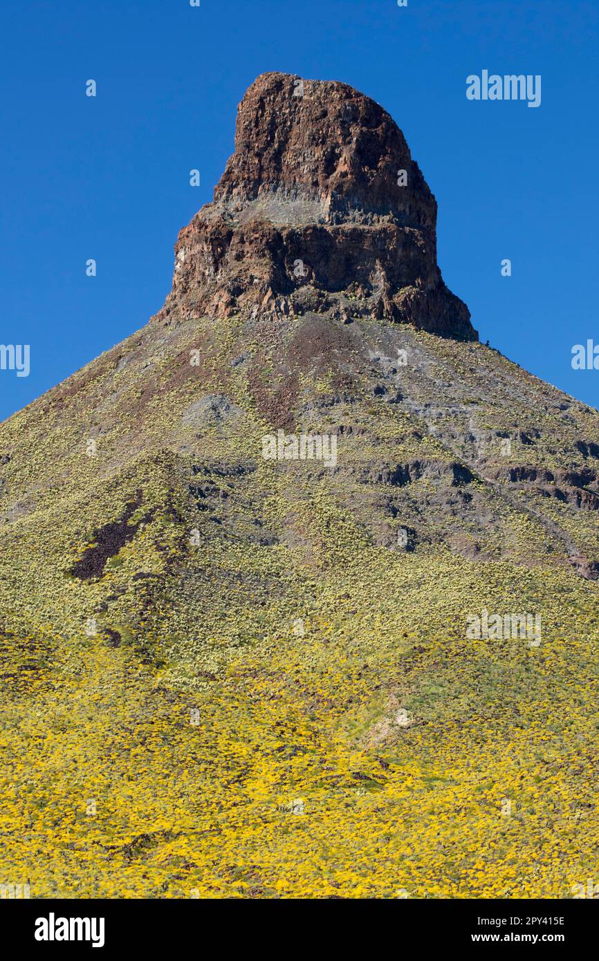 Thimble Mountain, Route 66 Historic Back Country Byway, Arizona Stockfoto