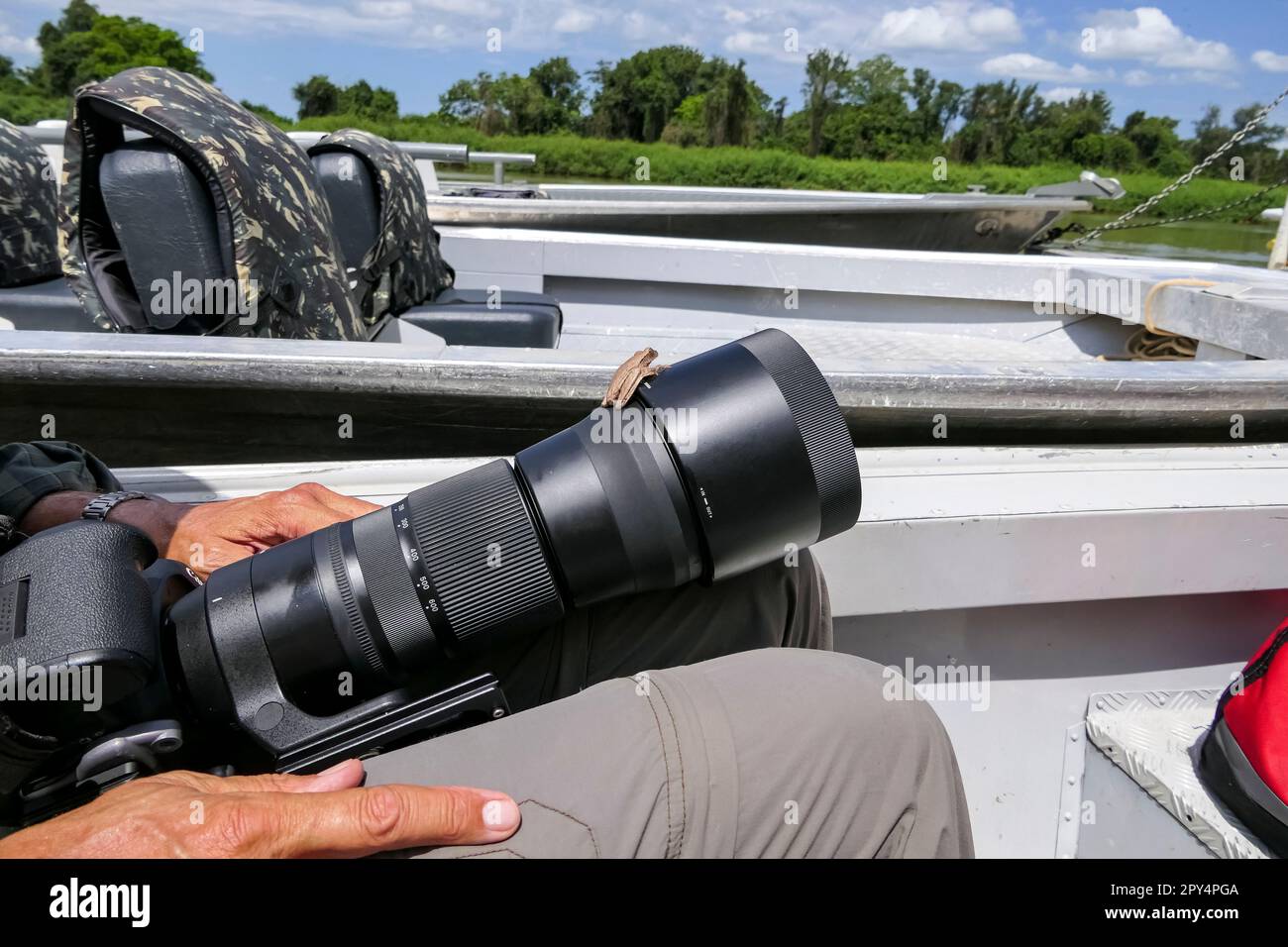 Der Frosch sitzt auf einer Fotolinse auf den Knien eines Fotografen in einem Boot, Pantanal Wetlands, Mato Grosso, Brasilien Stockfoto