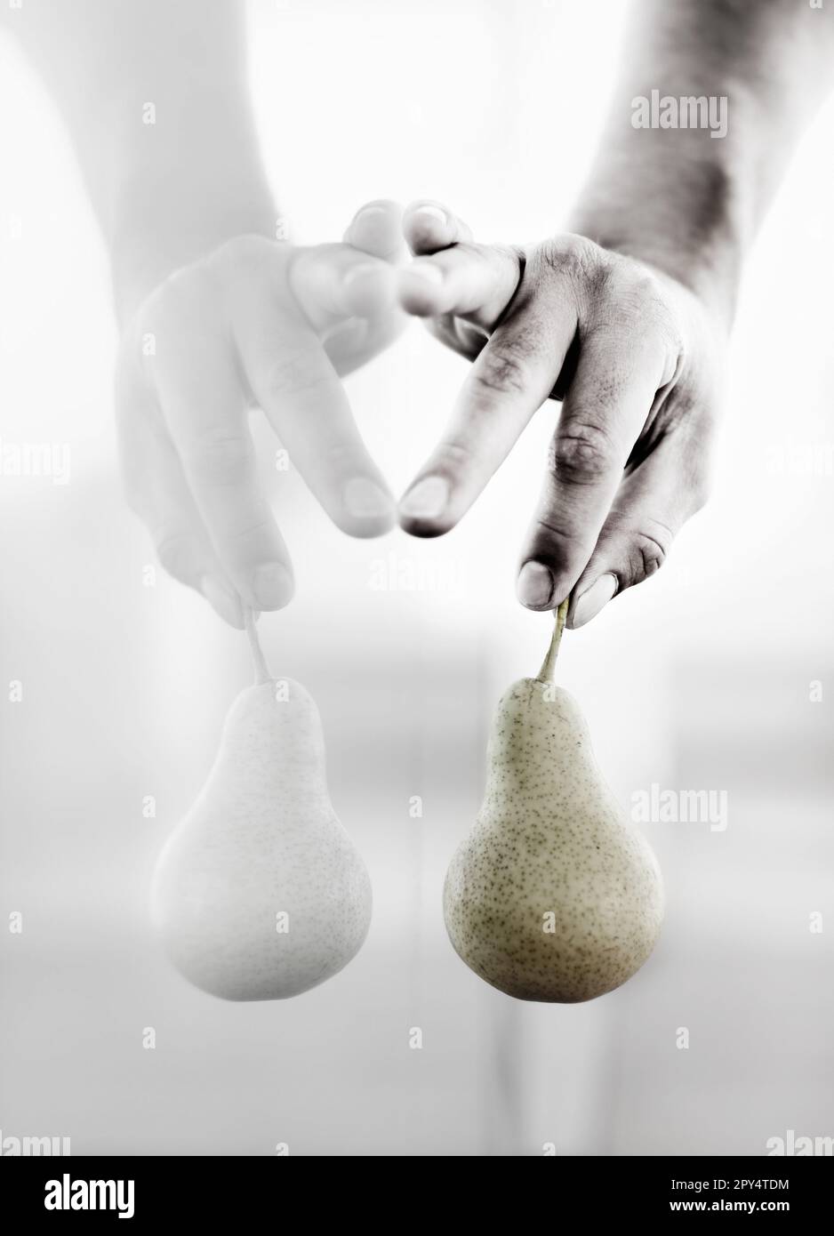 Reflexion, Kunst und Birne in den Händen für Gesundheit, Kreativität und Wahrnehmung. Kreativ, gesund und Person, die Obst für Ernährung, Diät und Vorführung hält Stockfoto