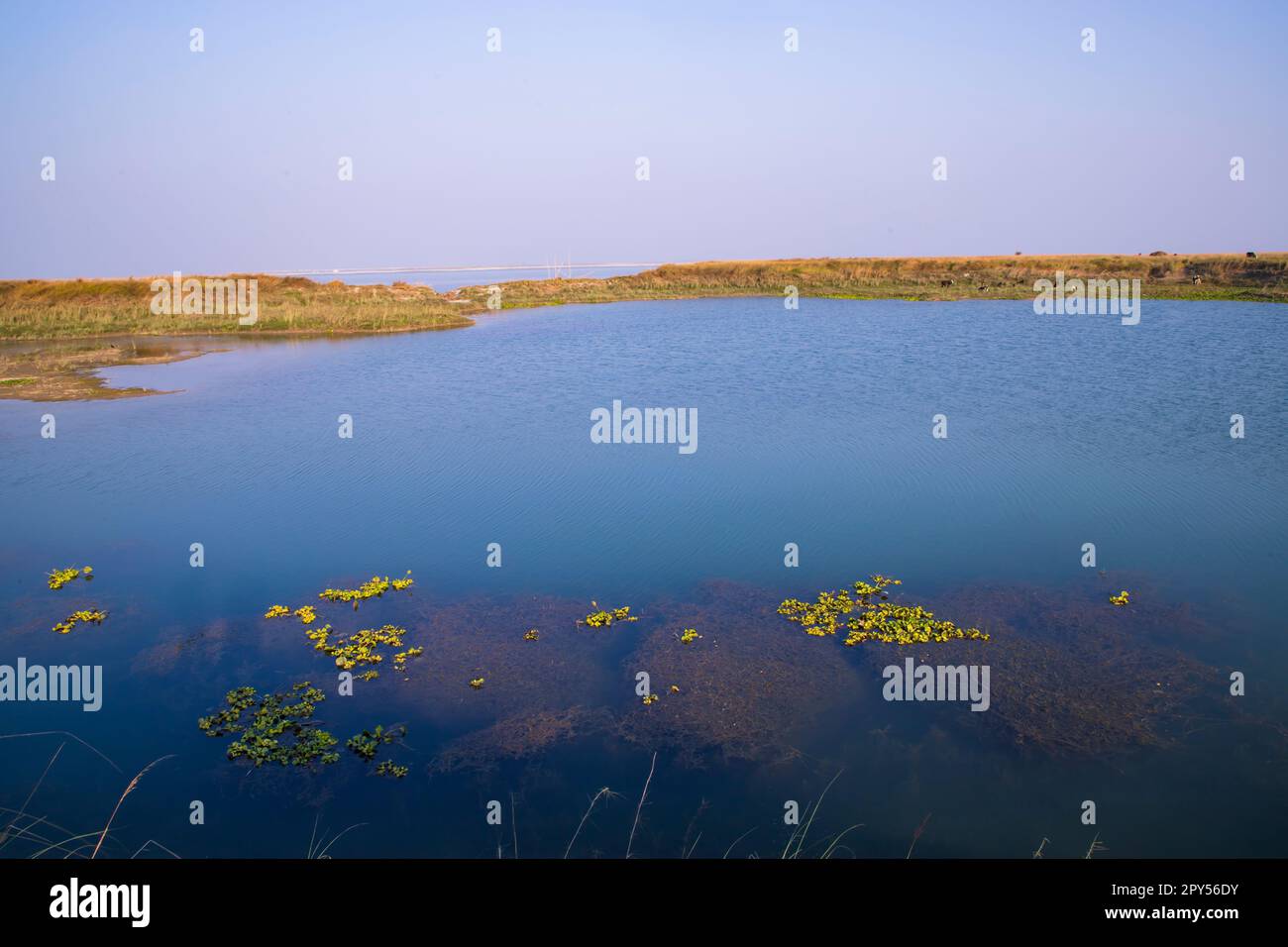 Blick auf die kristallklare blaue Seenlandschaft nahe dem Fluss Padma in Bangladesch Stockfoto