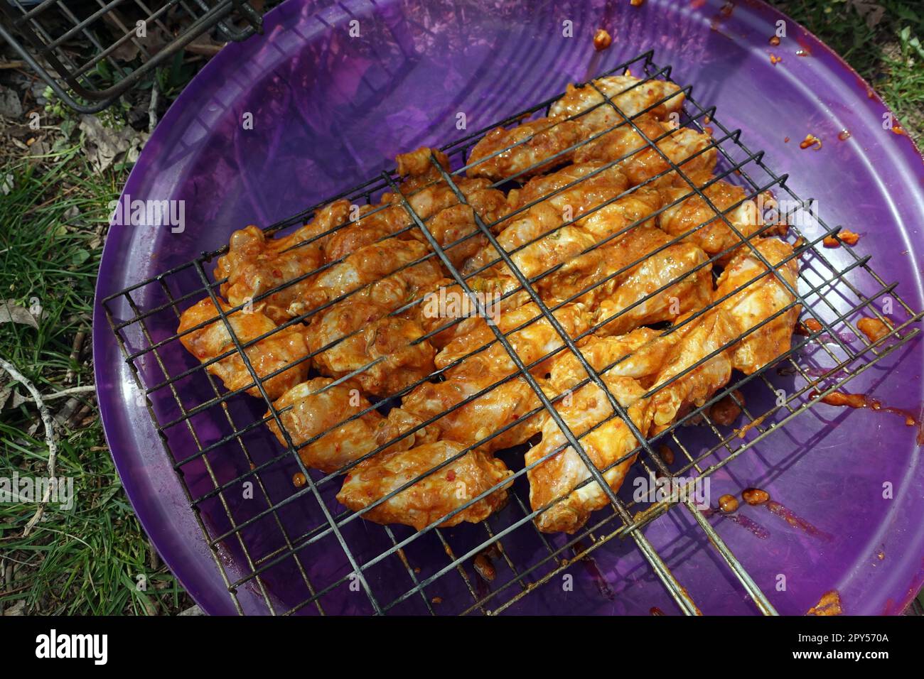 Genießen Sie ein Barbecue beim Picknick, arrangieren Sie die Hühnerschnitzel mit Sauce auf dem Drahtgrill, gegrillte Hühnerschnitzel Stockfoto