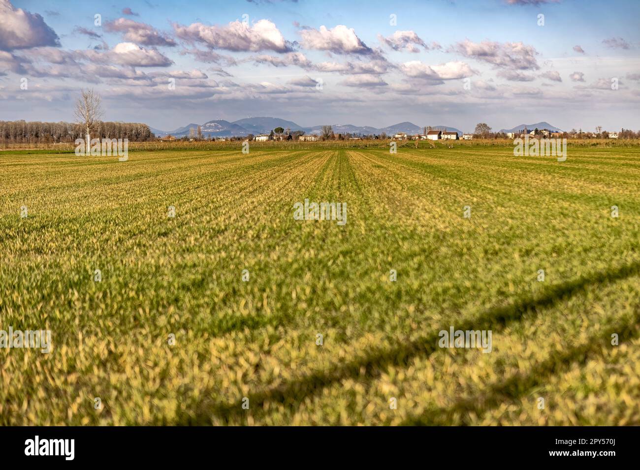 Ländliches Panorama des Po-Tals Stockfoto