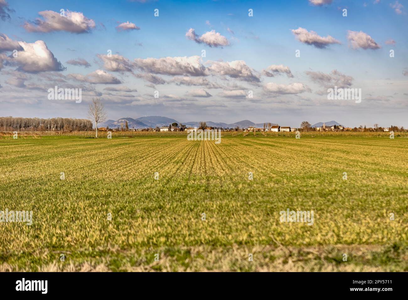 Ländliches Panorama des Po-Tals Stockfoto