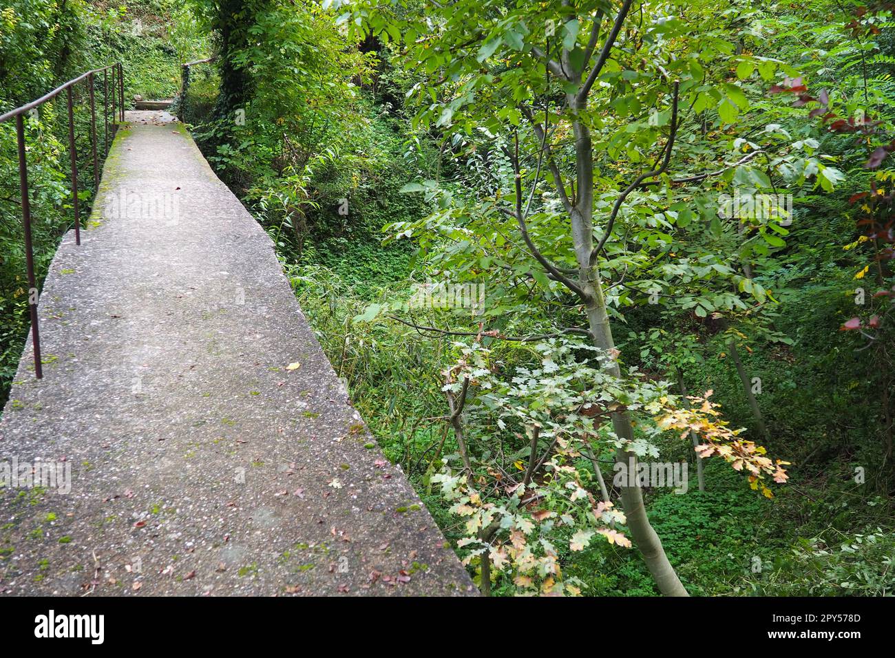 Banja Koviljacha, Serbien, Loznica, Mount Guchevo. Eine alte schmale Betonbrücke über einen Bergfluss mit einem Metallzaun. Sträucher, Efeu, Reben, Bäume um die Brücke. Gehen Sie in der Natur. Stockfoto