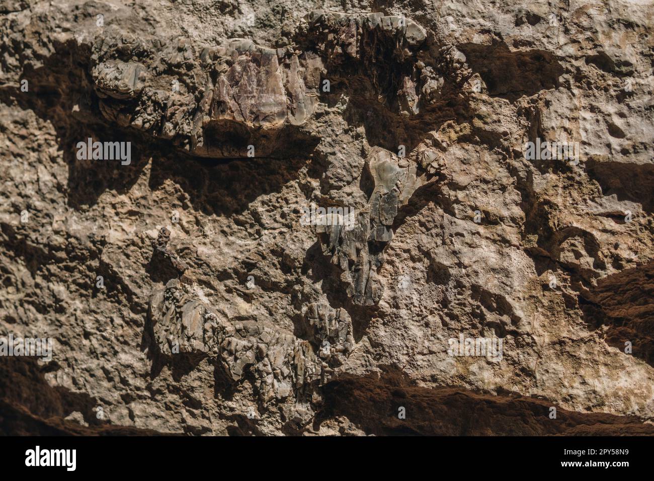 flint im Inneren von Kalksteinfelsen auf dem Grund von Jacob's Canyon Stockfoto